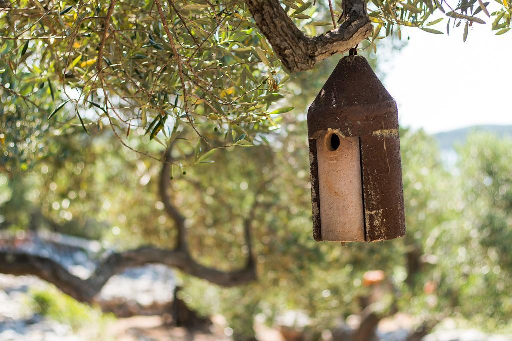 Holiday Home Nikol Veli Lošinj Εξωτερικό φωτογραφία