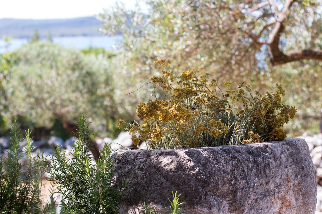 Holiday Home Nikol Veli Lošinj Εξωτερικό φωτογραφία